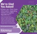 Weeds and Grass - We're Glad You Asked