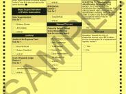 04-01-25 Sample Ballot Wards 1-2