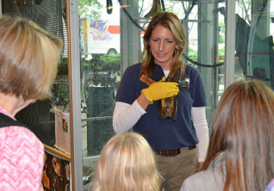 Photo of bat educator holding bat