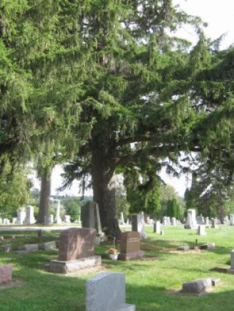 Greenwood Cemetery General Image