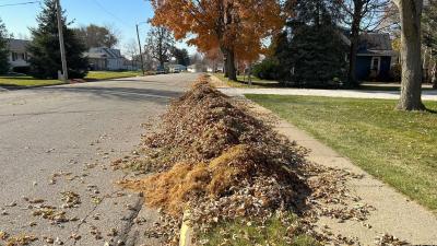 photo of leaves raked at curb