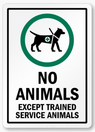 No Animals In Parks Signs Installed in 2024