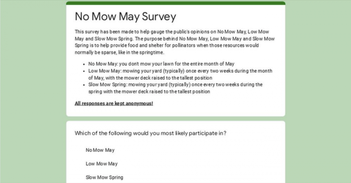 Thumbnail Graphic - Now Mow May Survey