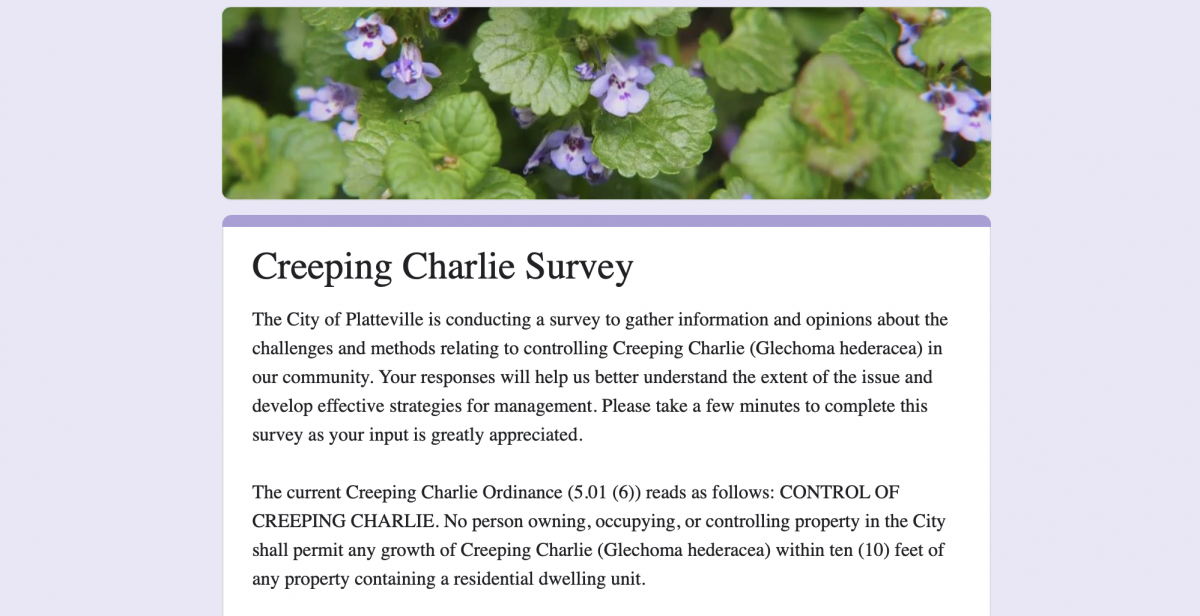 Thumbnail Graphic - Creeping Charlie Survey